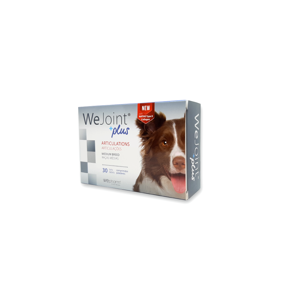 Wepharm WeJoint Plus Medium Breed Sumpliroma Diatrofis Skulou Xondroprostateftika 30 Diskia